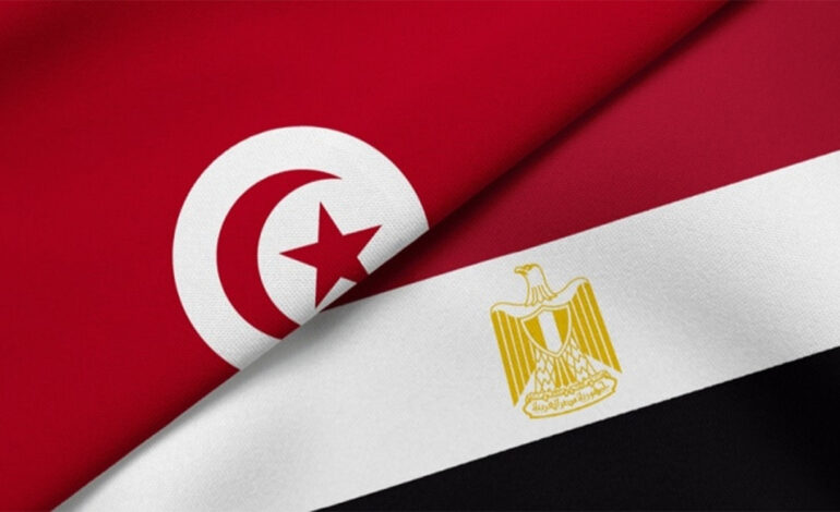 Tunisie–Égypte : facilitation des visas pour certaines catégories dès le 15 janvier 2026