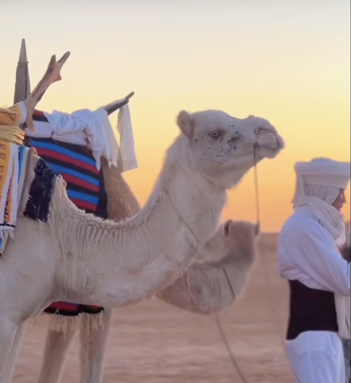 طقس المساء :الحرارة  بين 03 و  10درجات