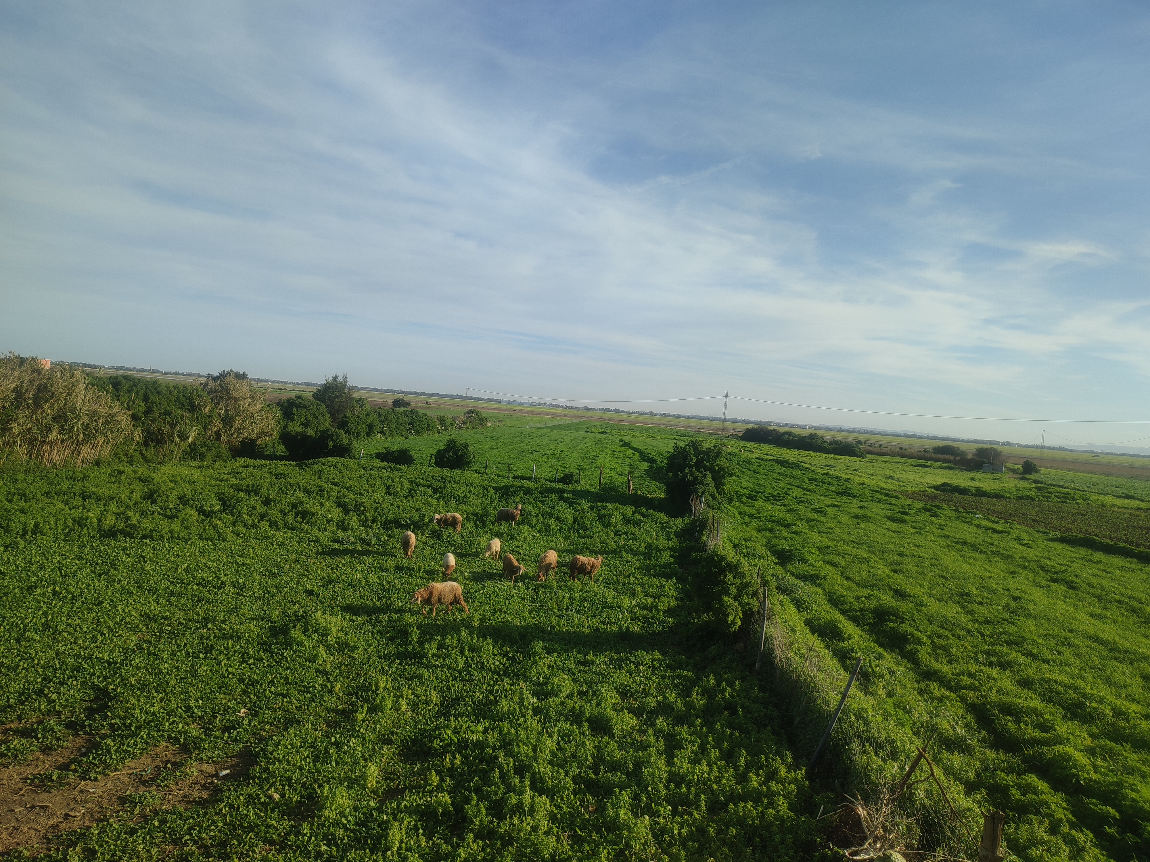 Météo : temps froid mais globalement stable