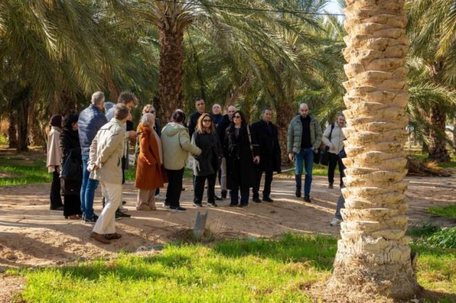 14 مشتريا أوروبيا يشاركون في لقاءات أعمال تونسیة/أوروبیة حول قطاع التمور ومشتقاتها من 6 إلى 9 جانفي 2026 بالجنوب التونسي