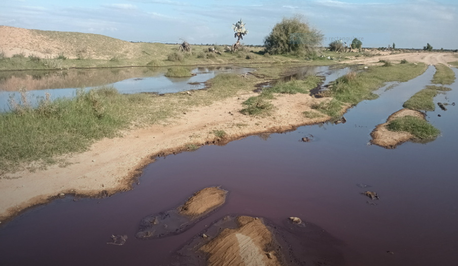 "مصبات المرجين لاتشكل اي خطر على الصحة العامة"-رئيس الغرفة الوطنية لاصحاب المعاصر