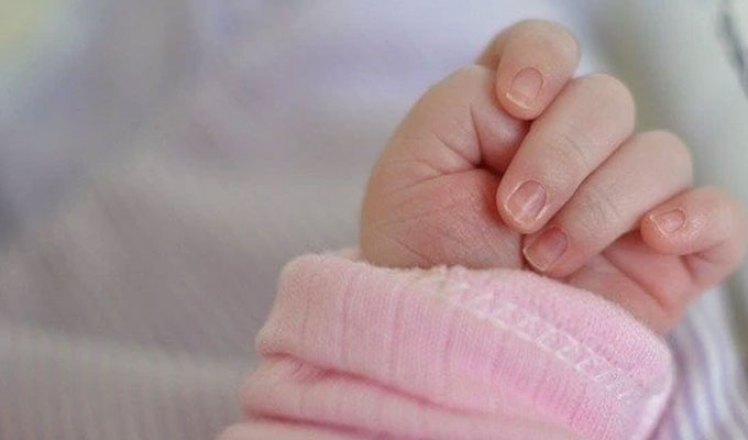 مسؤولة بوزارة الأسرة: الشروع في تقنين خدمة الحضانة بالبيت