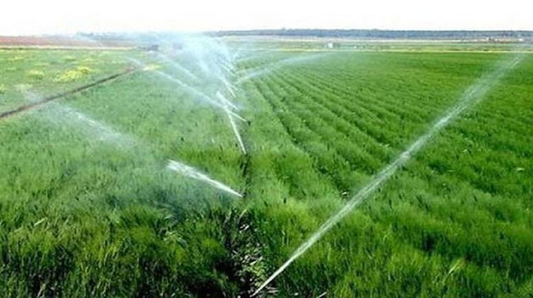 نابل: تقدّم موسم البذر للزراعات الكبرى بنسبة 97 بالمائة وتوقّعات بموسم طيب إثر التساقطات الاخيرة