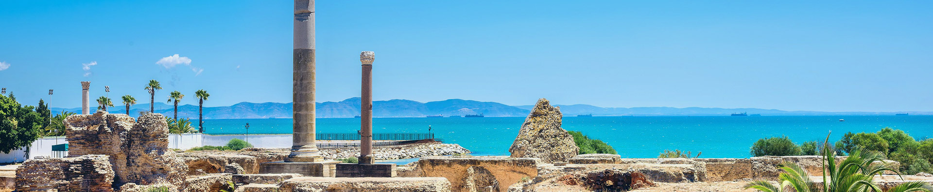 بداية من 24 مارس 2026: تنظيم امتحان إسناد البطاقة المهنية للدليل السياحي وإضافة لغة