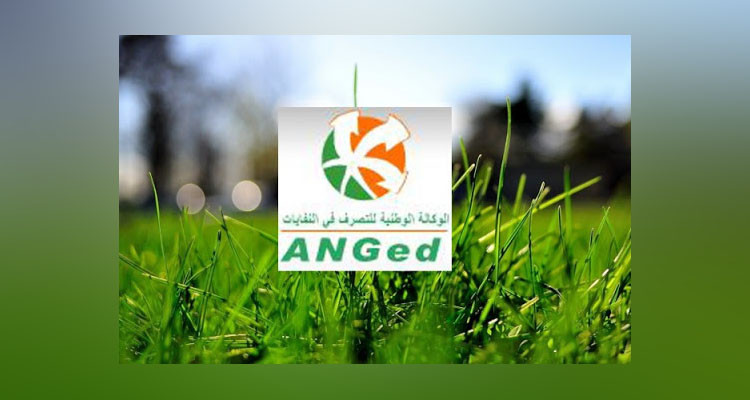 انطلاق مهمة خبراء البنك الدولي لتنفيذ برنامج إنجاز وحدات معالجة وتثمين النفايات المنزلية والمشابهة