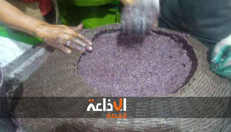 سيدي بوزيد : معصرة تقليدية بمنطقة الهيشرية تواصل اعتماد العصر بطريقة الشوامي التقليدية مع الانفتاح على الطرق العصرية لانتاج زيت الزيتون