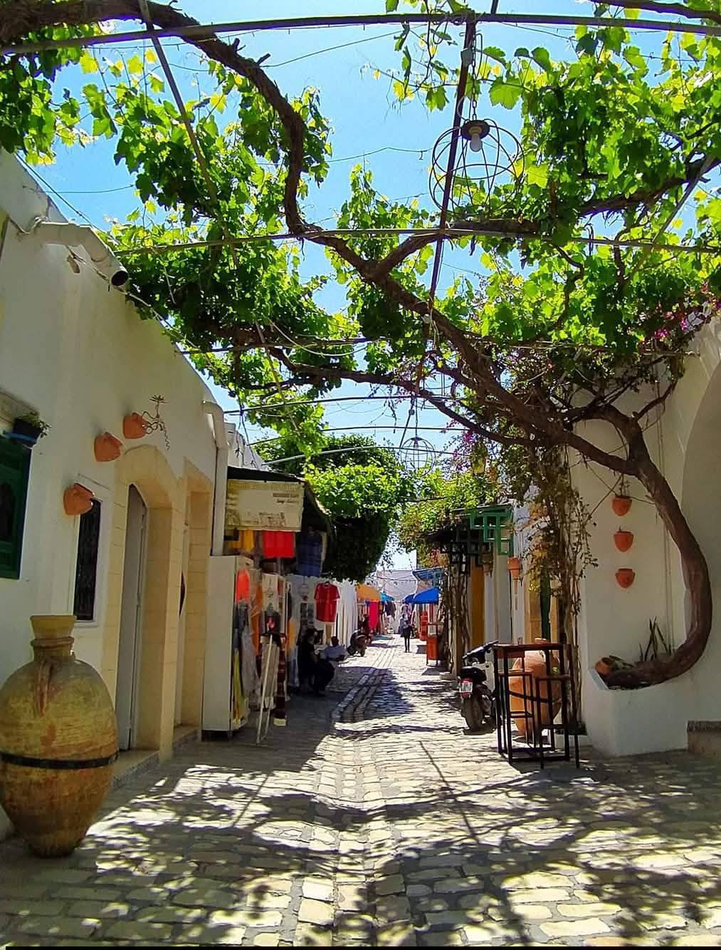 الحرارة القصوى بين 14 و 19 درجة