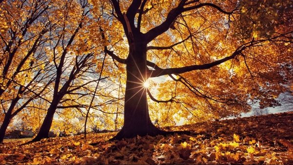 مناخ: ديسمبر 2025 نسبيا أعلى حرارة مقارنة بالمعدل العادي