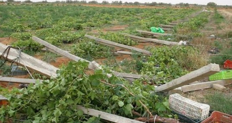 منوبة: مطالبة بتمديد آجال الاكتتاب في صندوق الجوائح