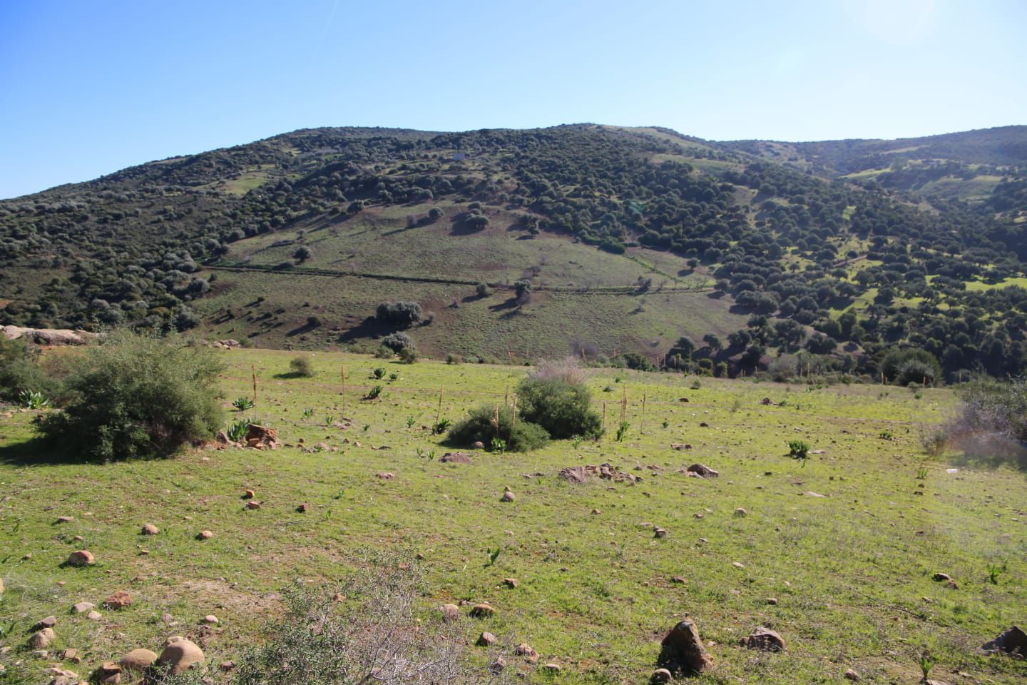 جندوبة: قريبا... انطلاق أشغال سد الرغاي في غار الدماء