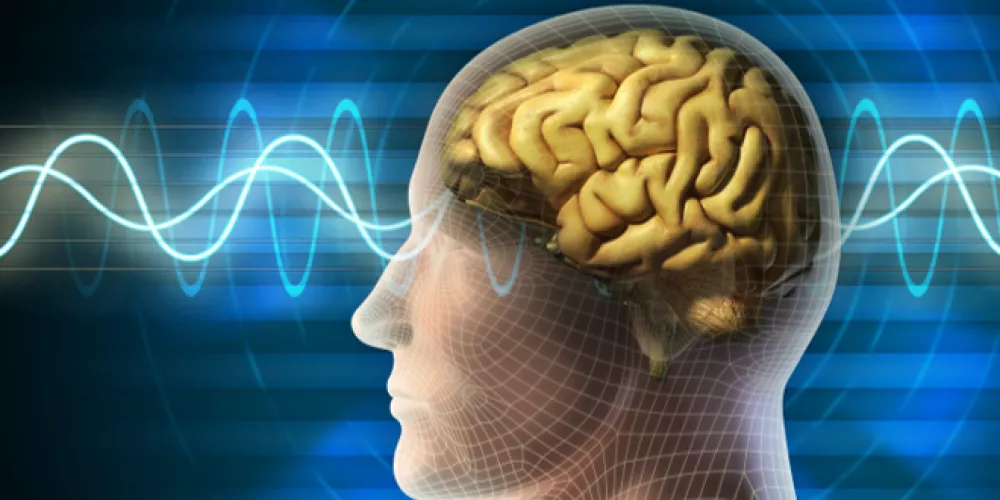 اكتشاف علمي يفتح باب علاج ارتفاع ضغط الدم عبر الدماغ