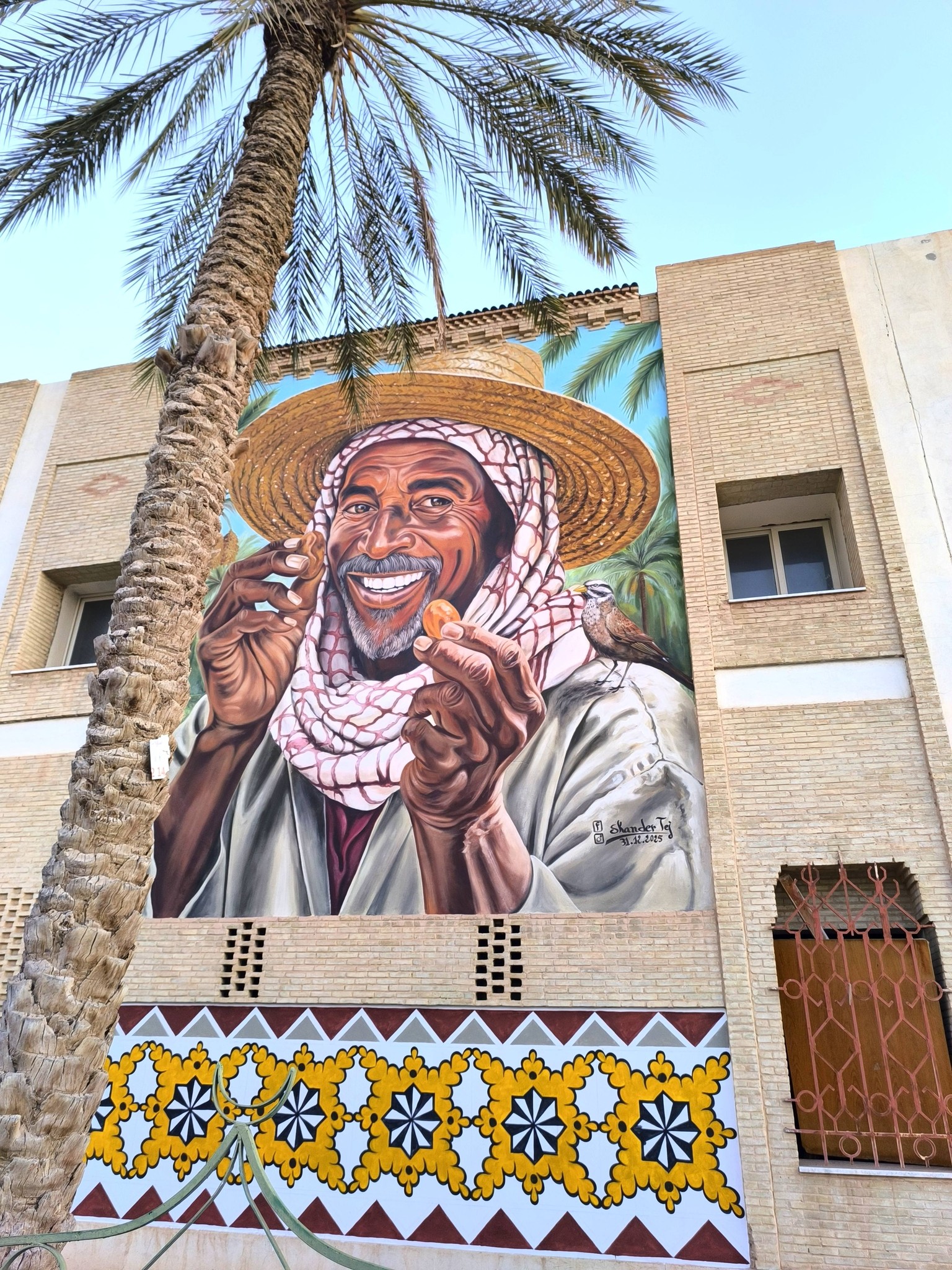 جداريات تأسر المارة في قلب مدينة توزر تحاكي ثقافة أهل الجريد ضمن مشروع للفنان إسكندر تاج