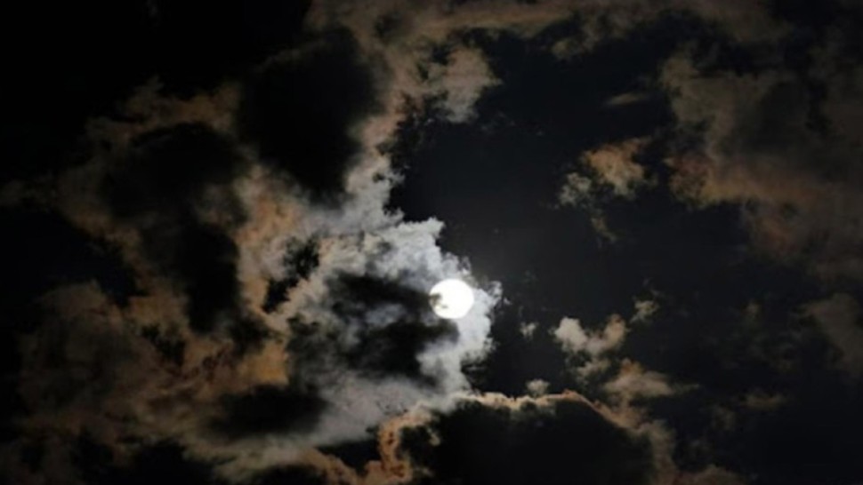 سحب قليلة باغلب الجهات وضباب محلي بالسواحل الشرقية