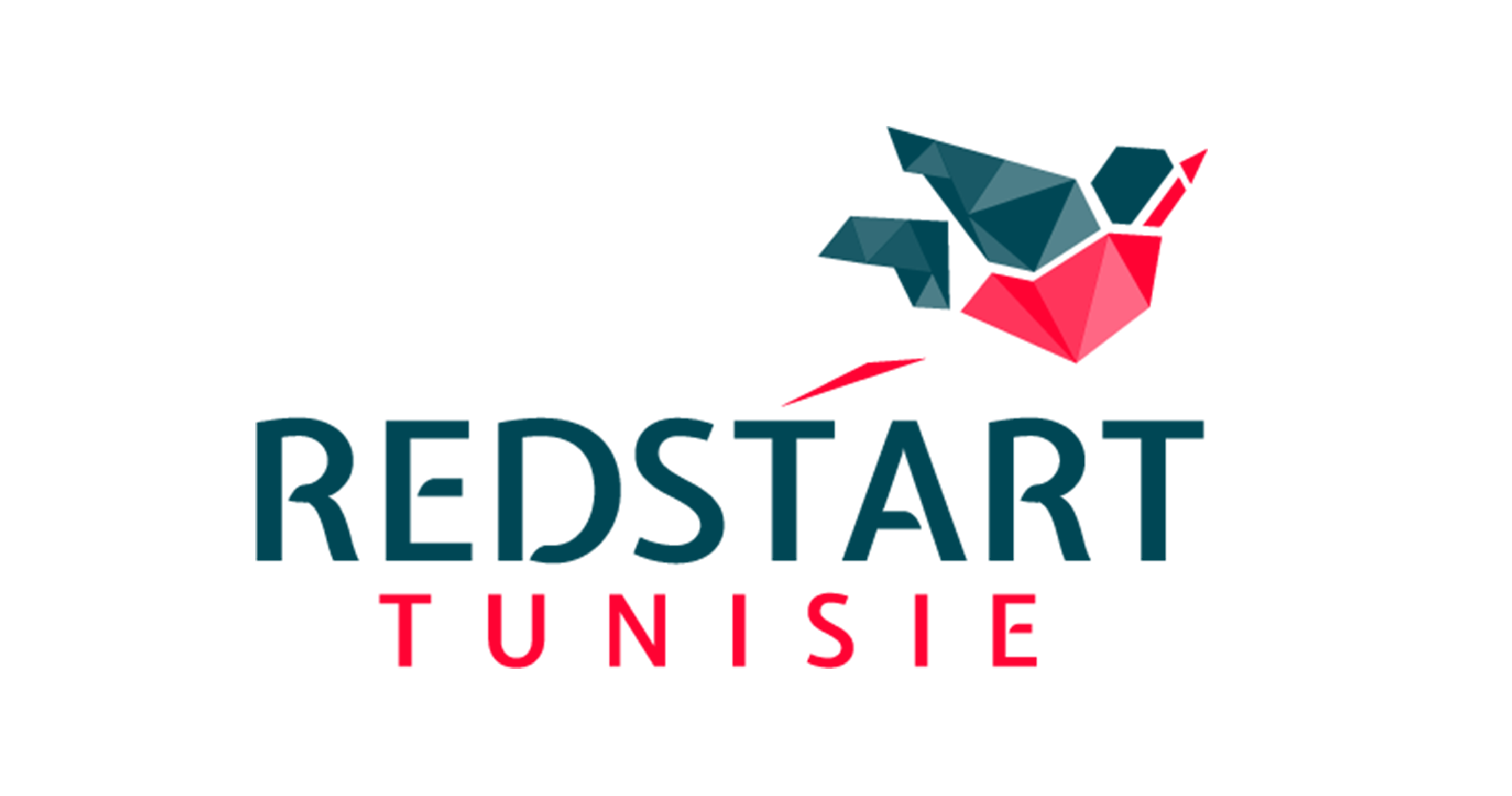 اختيار 18 رائدة اعمال تونسية تنشطن في الاستثمار الاخضر لدعم التحول البيئيى والتشغيل بالجهات