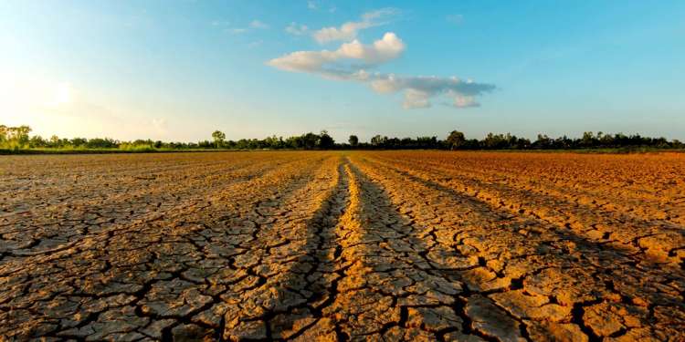 التمديد في  آجال الاكتتاب في صندوق تعويض الأضرار الفلاحية ودعوة الى مراجعة شروط تدخله   