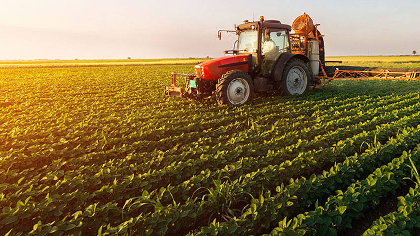 وزير الفلاحة: نتائج المواسم الفلاحيّة الحاليّة تُعدّ طيّبة على مختلف الأصعدة