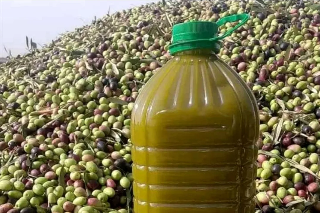 وزارة التجارة تكشف عن مؤشرات انتاج واستهلاك زيت الزيتون في العالم وفي تونس