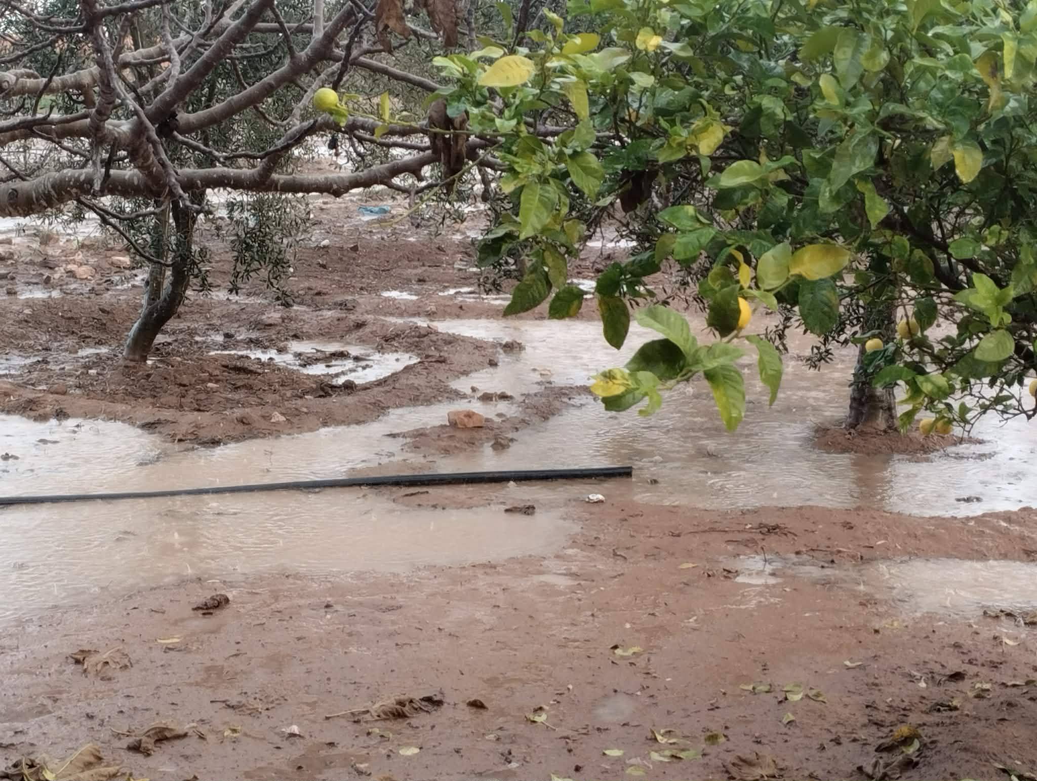 سحب عابرة بأغلب المناطق مع أمطار متفرقة