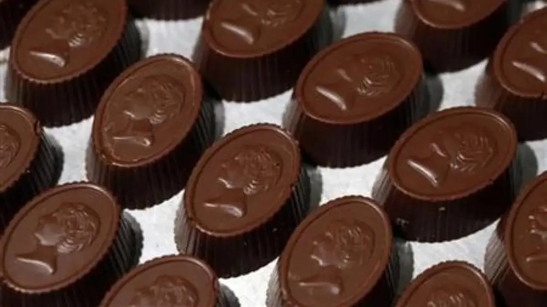 الشوكولاتة الداكنة أم التوت الأزرق؟.. مفاجأة حول مضادات الأكسدة