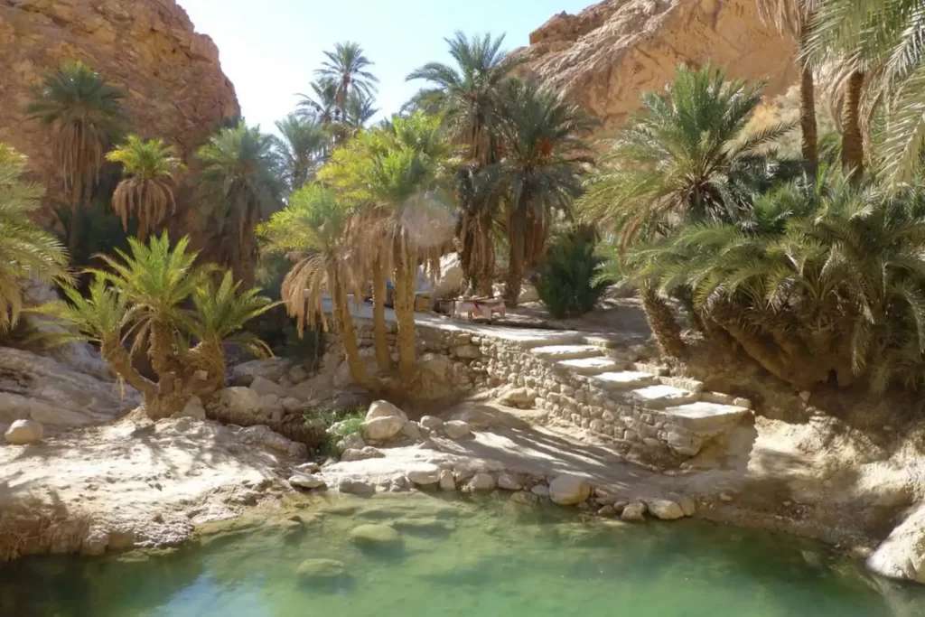 توزر: المصادقة على الملفات الفنية والقانونية لـ3 مناطق سقوية جديدة