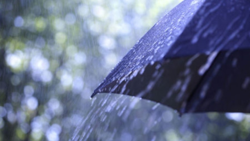 تسجيل 80 مليمترا من الامطار في قرمبالية من ولاية نابل خلال ال24 ساعة الماضية