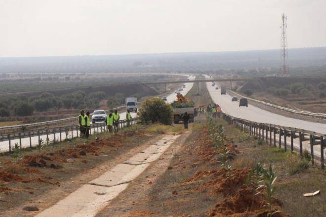 تونس تطلق رسميا مشروع "الحزام الأخضر" لمقاومة تدهور الأراضي وتعزيز القدرة على مواجهة تغيّر المناخ