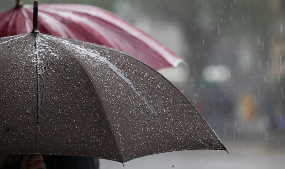 تمثيليات دبلوماسية بتونس: تأجيل مختلف المواعيد وتسليم جوازات السفر إلى موعد لاحق