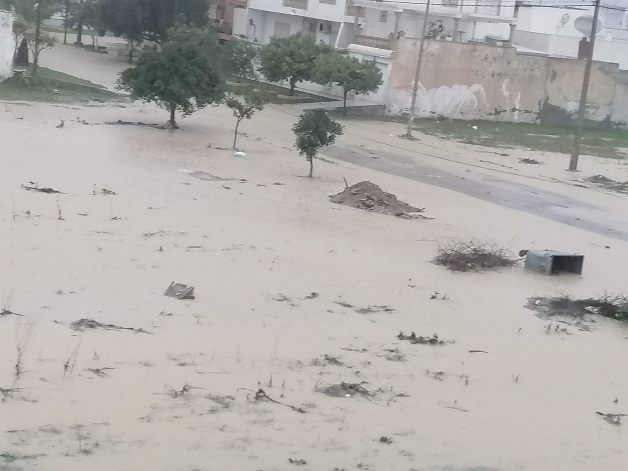 نابل: فقدان كهل خمسيني و الاهالي يوجهون نداء استغاثة بعد فيضان وادي سلتان.