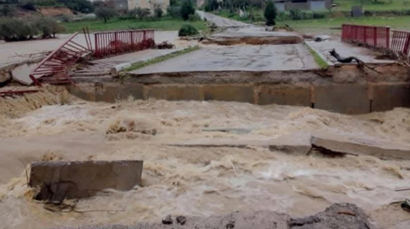 عضو بالمكتب التنفيذي لاتحاد الفلاحين: تسجيل أضرار فلاحية خاصة بولايتي نابل وزغوان إثر الأمطار الأخيرة