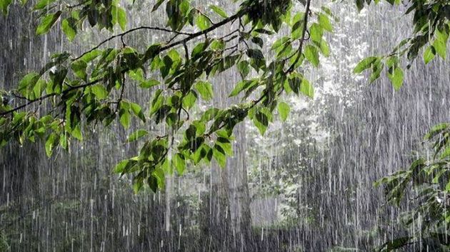 تسجيل 24 مليمترا من الامطار في كل من بني مطير وعين دراهم خلال الاربع والعشرين ساعة الماضية