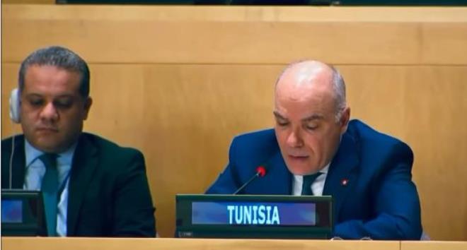 تونس تؤكد أن المجلس الاقتصادي والاجتماعي للأمم المتحدة ركن لا يمكن الاستغناء عنه