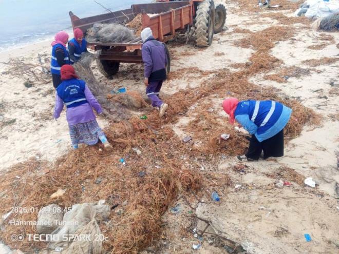 تونس العاصمة: تنظيم حملة نظافة في شاطئ خير الدين غدا الأحد