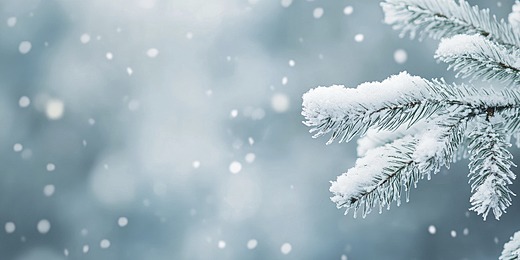 الليلة: امطار أحيانا غزيرة بالشمال الغربي مع إمكانية تساقط بعض الثلوج بالمرتفعات الغربية.