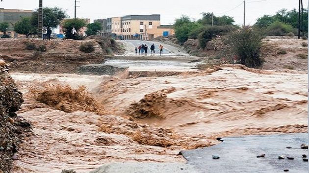 نابل: الانطلاق في معاينة المستغلات الفلاحية المتضررة من الفيضانات الأخيرة لضبط برنامج تدخل عاجل