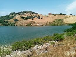 منوبة: ارتفاع نسبة امتلاء البحيرات الجبلية من 10 الى 45 بالمائة