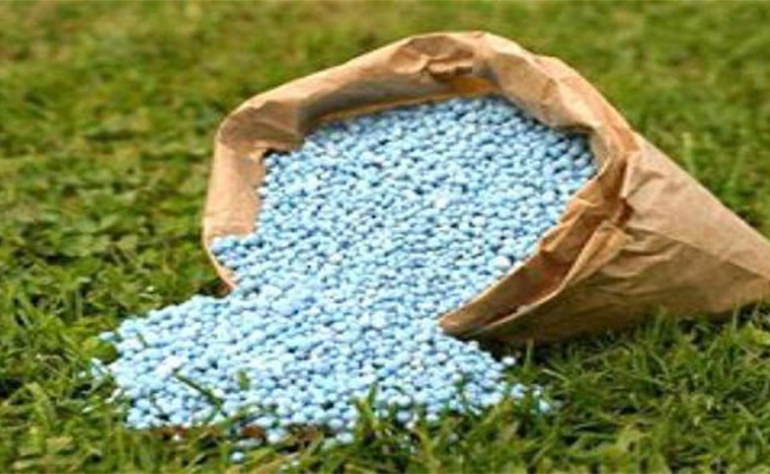 المنظمة الفلاحية تعبر عن قلقها إزاء الصعوبات الحقيقية التي يشهدها الموسم الفلاحي خاصة النقص الحاد في مادة الأمونيتر