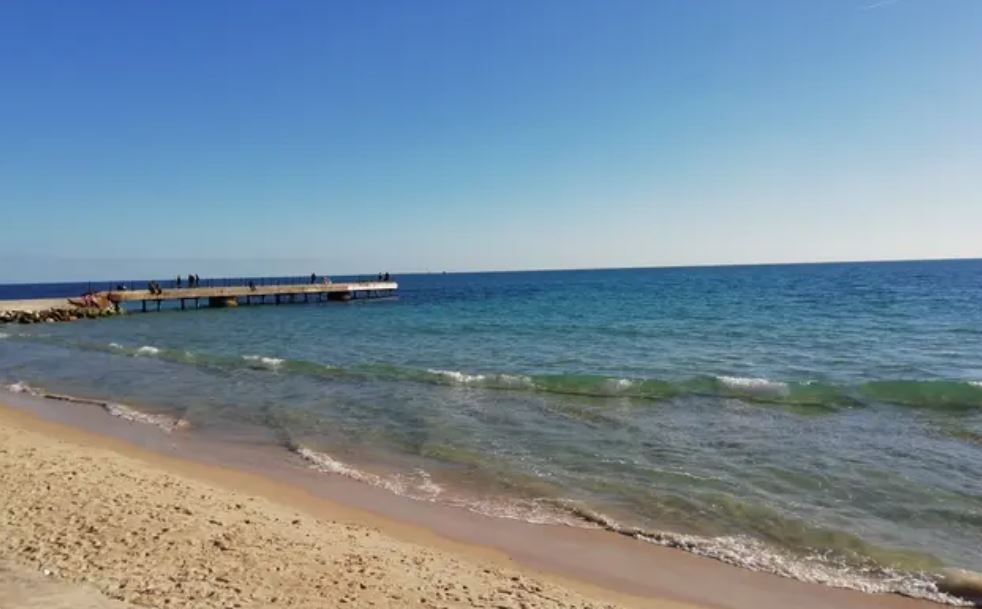 حملة نظافة بشاطئ نابل لإزالة مخلفات التقلبات الجوية الأخيرة