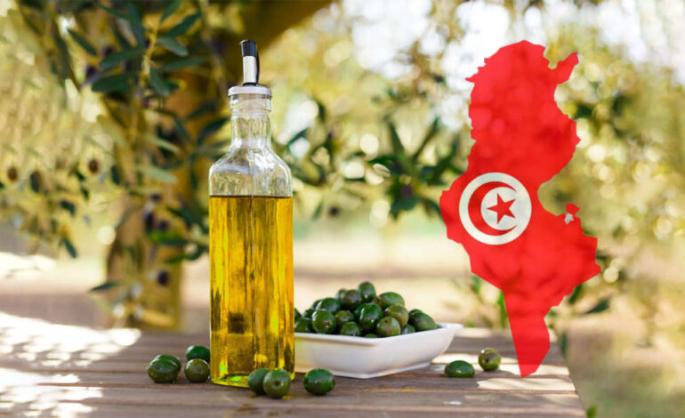 L’huile d’olive tunisienne s’ouvre une nouvelle voie sur le marché jordanien