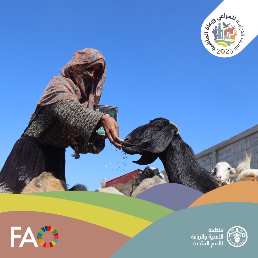 افتتاح اعمال المؤتمر الإقليمي للشرق الأدنى وشمال افريقيا للمراعي والرعاة 