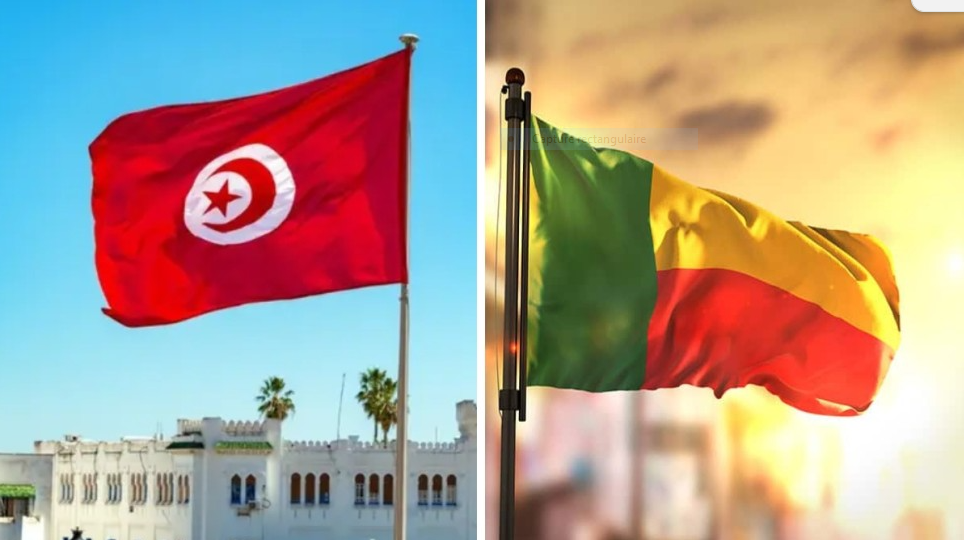 تونس-البنين: تنظيم لقاءات مهنية خلال فيفيري 2026 بمركز النهوض بالصادرات