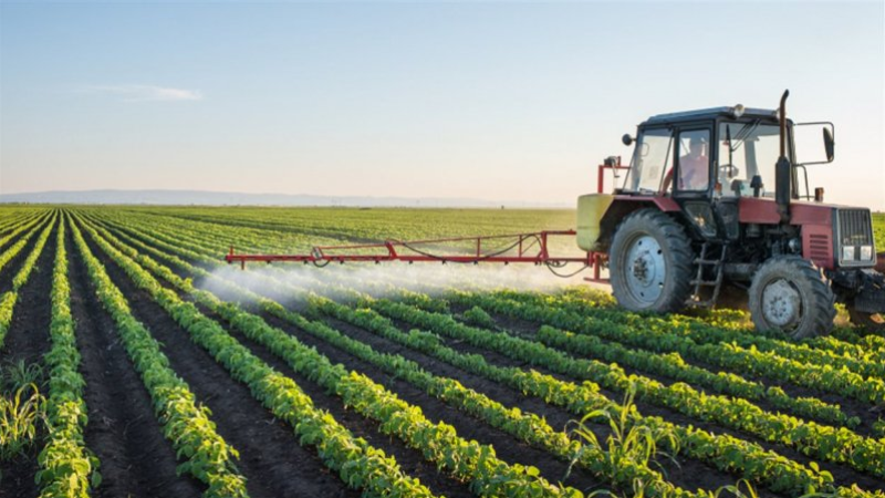 سيدي بوزيد: تنظيم ندوة علمية حول ريادة الأعمال وبعث المشاريع الخاصة بالمركز المهني الفلاحي