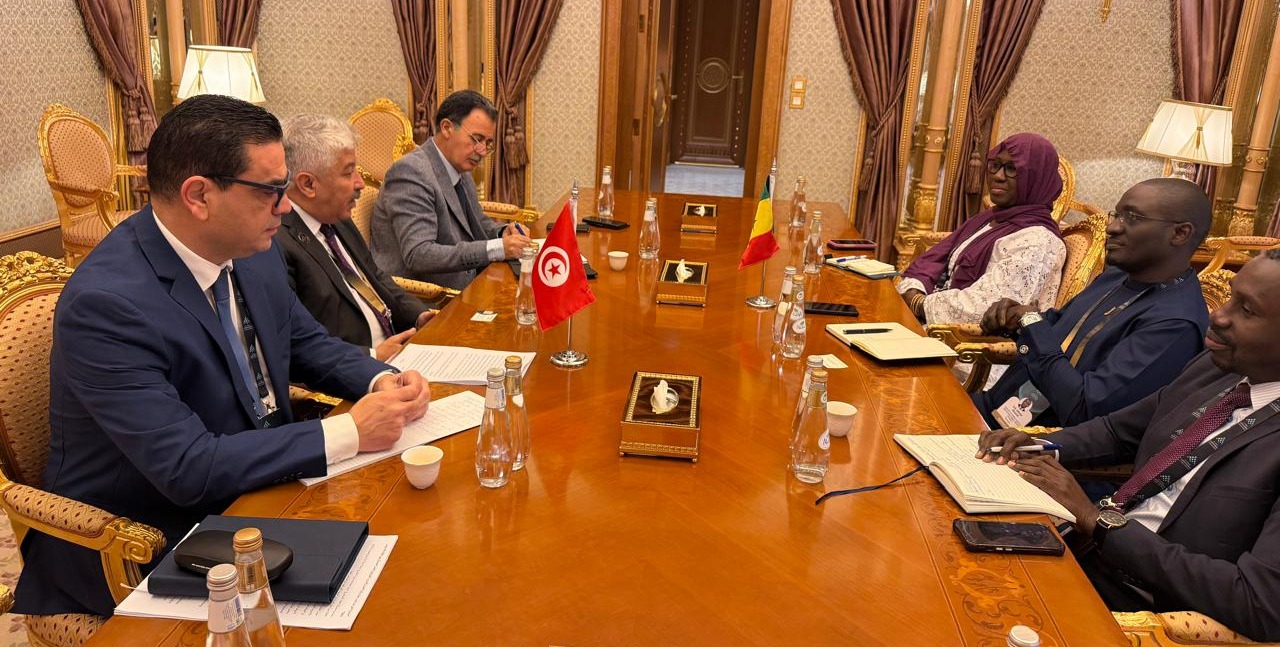 المؤتمر الدولي لسوق العمل   : جلسة عمل تونسية سينيغالية