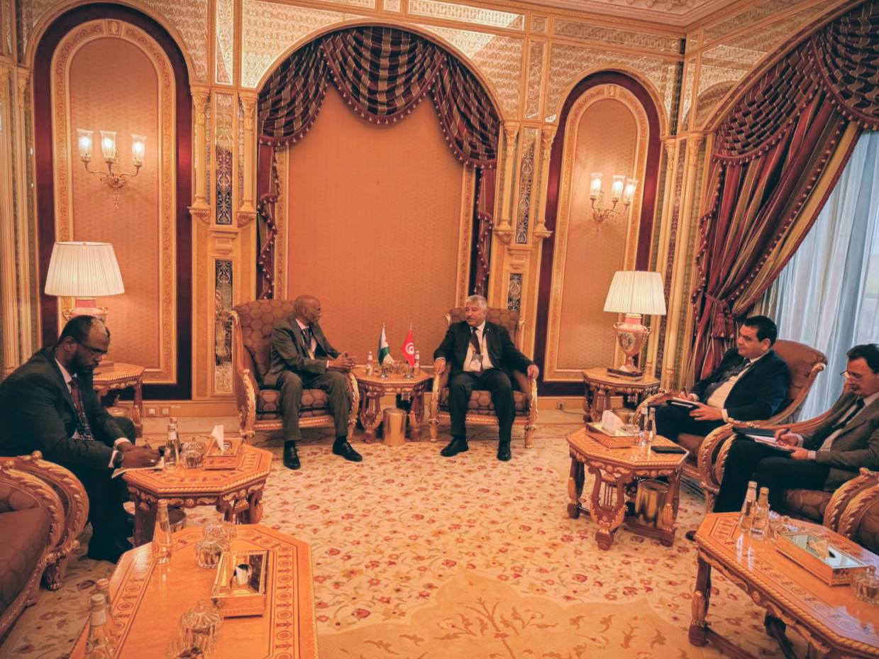 وزير التشغيل والتكوين المهني السيّد رياض شوّد يتباحث مع وزير العمل الجيبوتي سبل تعزيز التعاون بين البلدين في مجال التشغيل والتّكوين المهني 