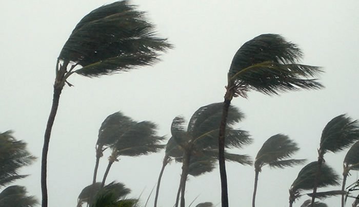 هبوب رياح قويّة إلى قويّة جدّا مع نزول أمطار مؤقتا رعدية أخر نهار الأربعاء وأثناء الليل (نشرة متابعة)