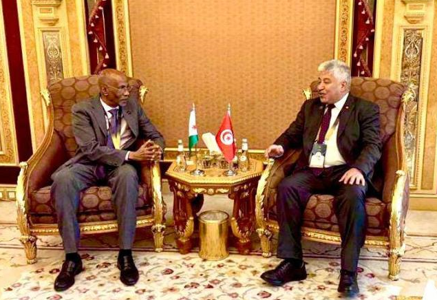 نحو الشروع في ابرام إتفاقية ثنائية بين تونس وجيبوتي في مجالات التكوين المهني الاساسي والمستمر والتشغيل وريادة الاعمال