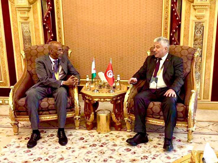 تونس وجيبوتي: توجّه لإبرام اتفاقية في مجالات التكوين المهني الأساسي والمستمر والتشغيل وريادة الأعمال