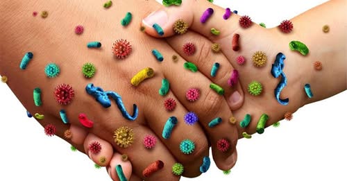 الجمعية التونسية للامراض المعدية تعقد مؤتمرها ال35 يومي 7 و8 ماي 2026 بمدينة الحمامات.