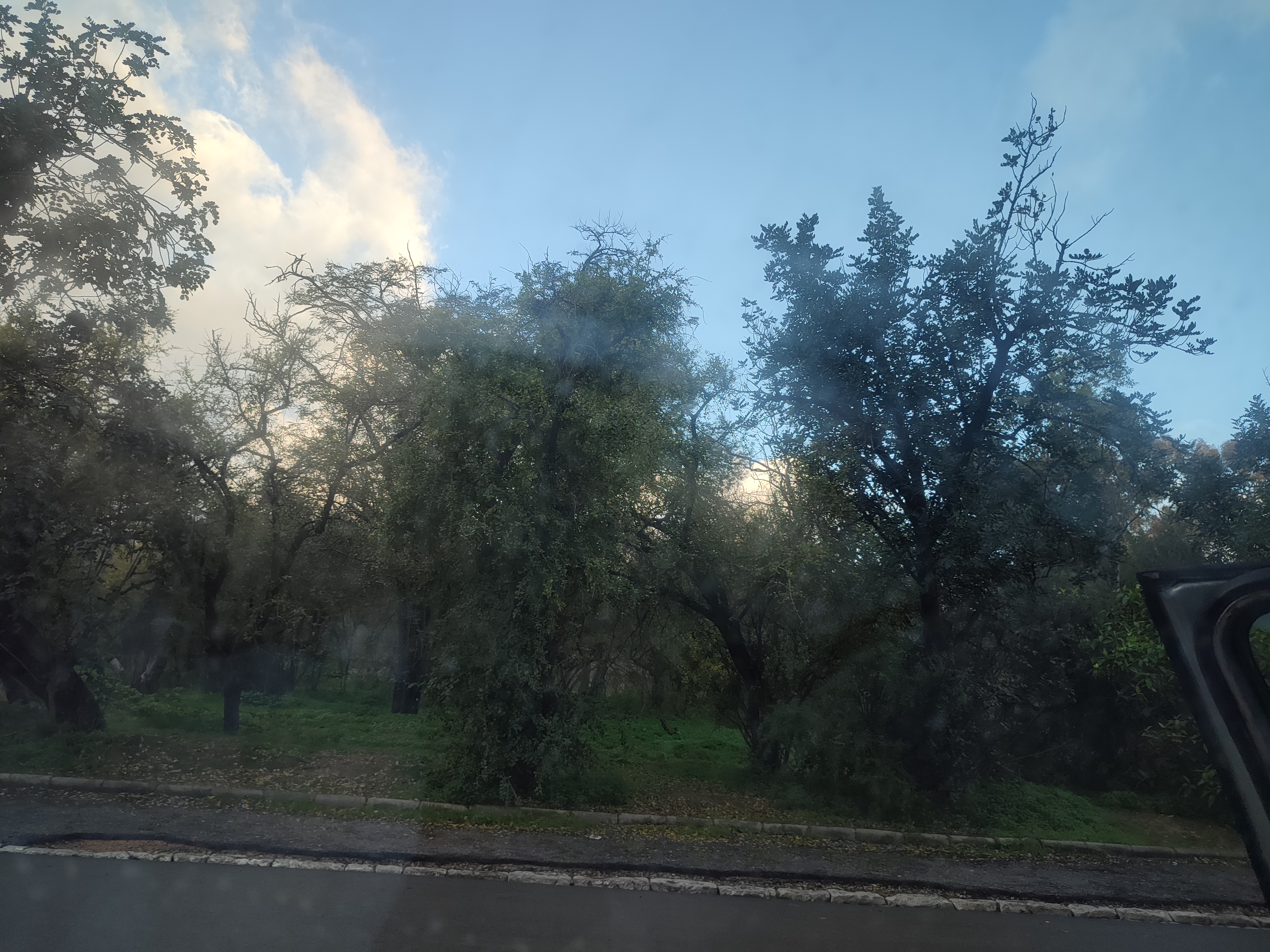 Prévisions météo : temps instable et légère hausse des températures ce jeudi 29 janvier 2026