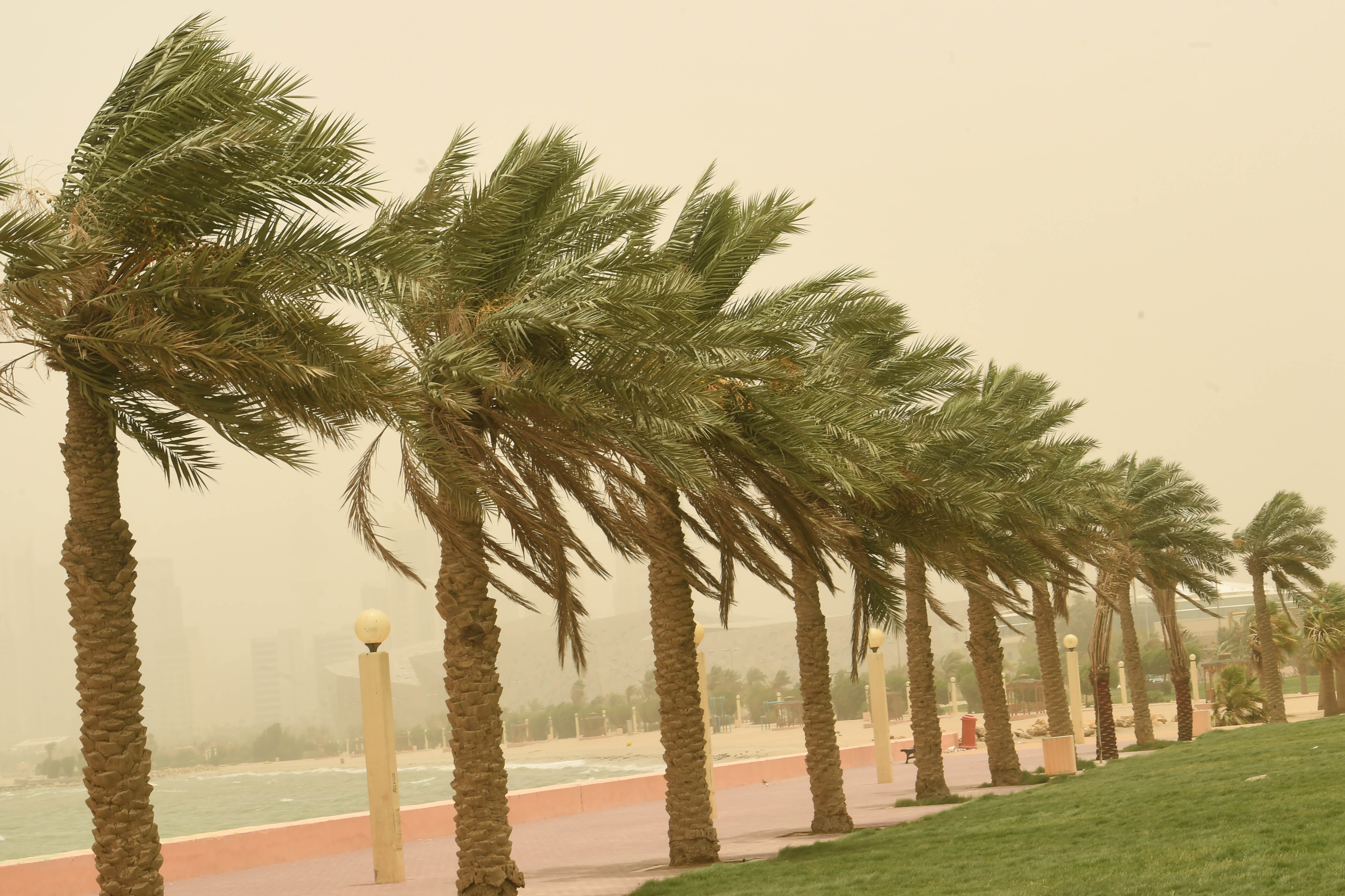 طقس الخميس : الريح من القطاع الغربي قوية بالشمال وبالمرتفعات الغربية وبالجنوب الشرقي