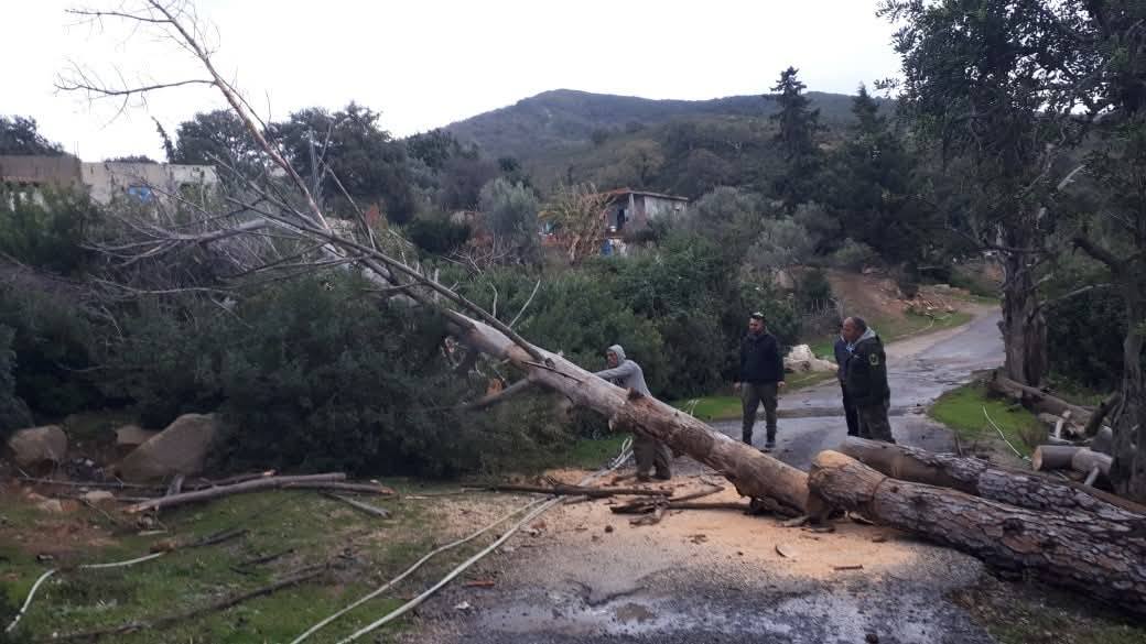 الامطار تتسبب في انزلاقات أرضية بعدد من الطرقات بولاية جندوبة.